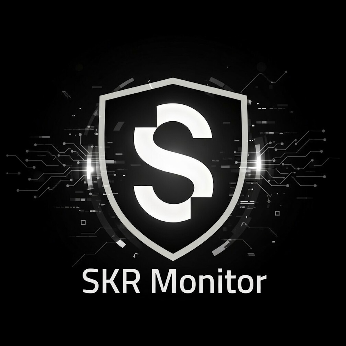 SKR Monitor graphic