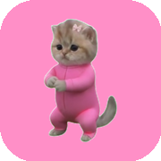 squatcat