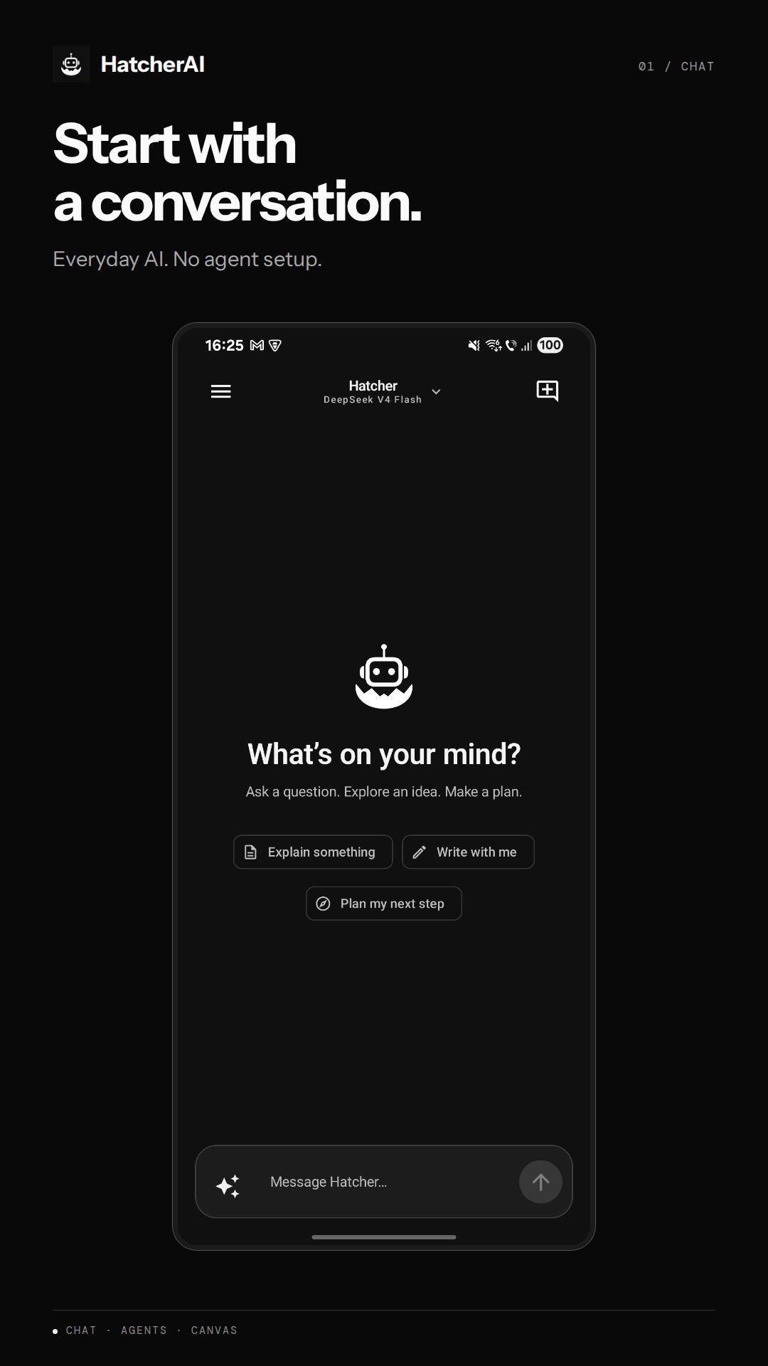 HatcherAI screenshot 1