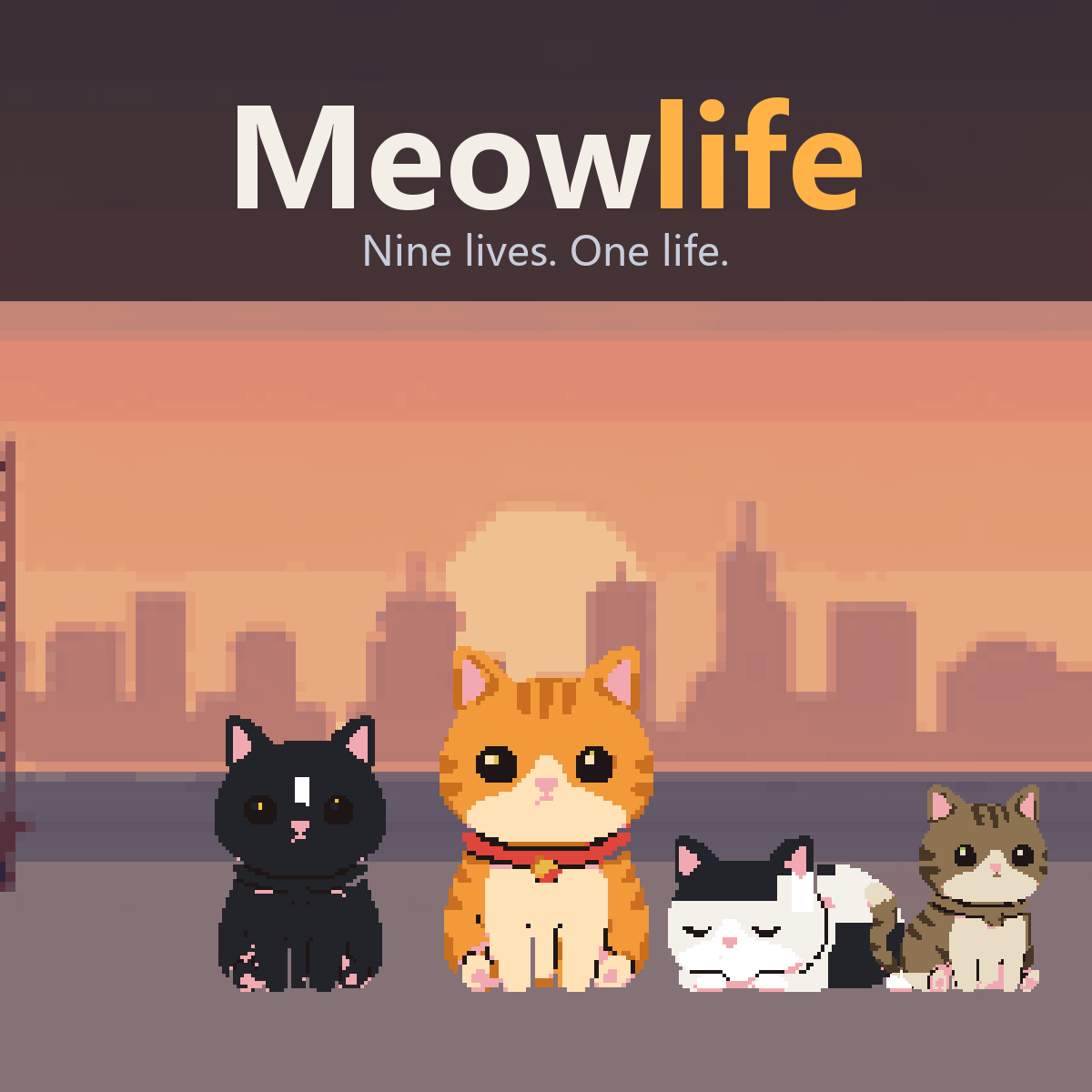MeowLife graphic