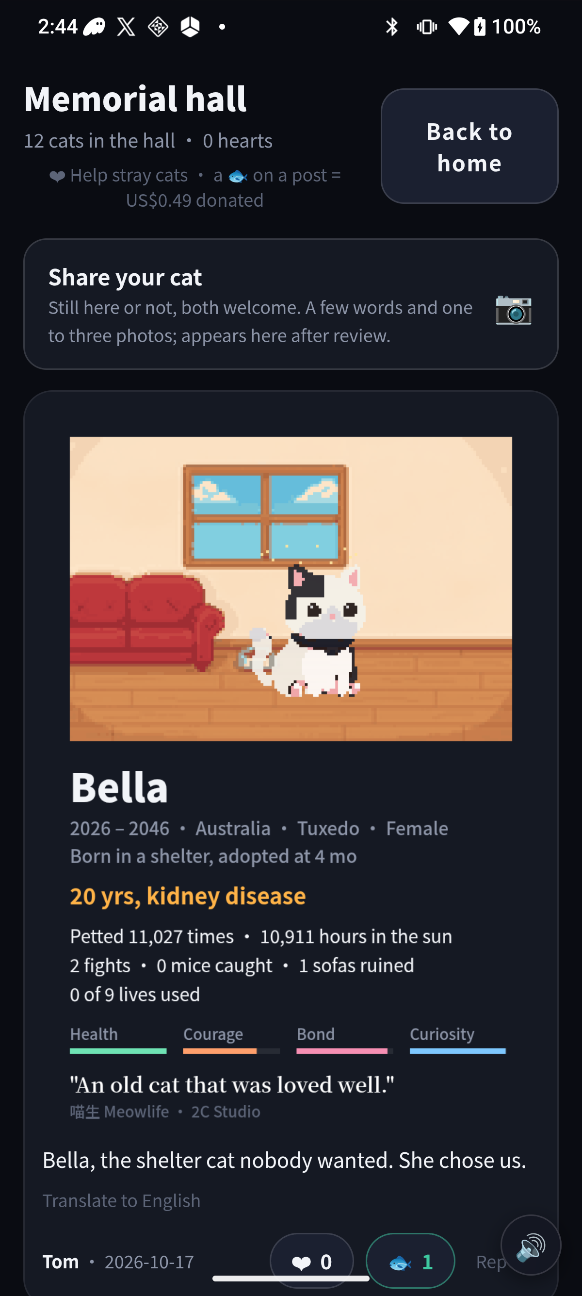 MeowLife screenshot 4