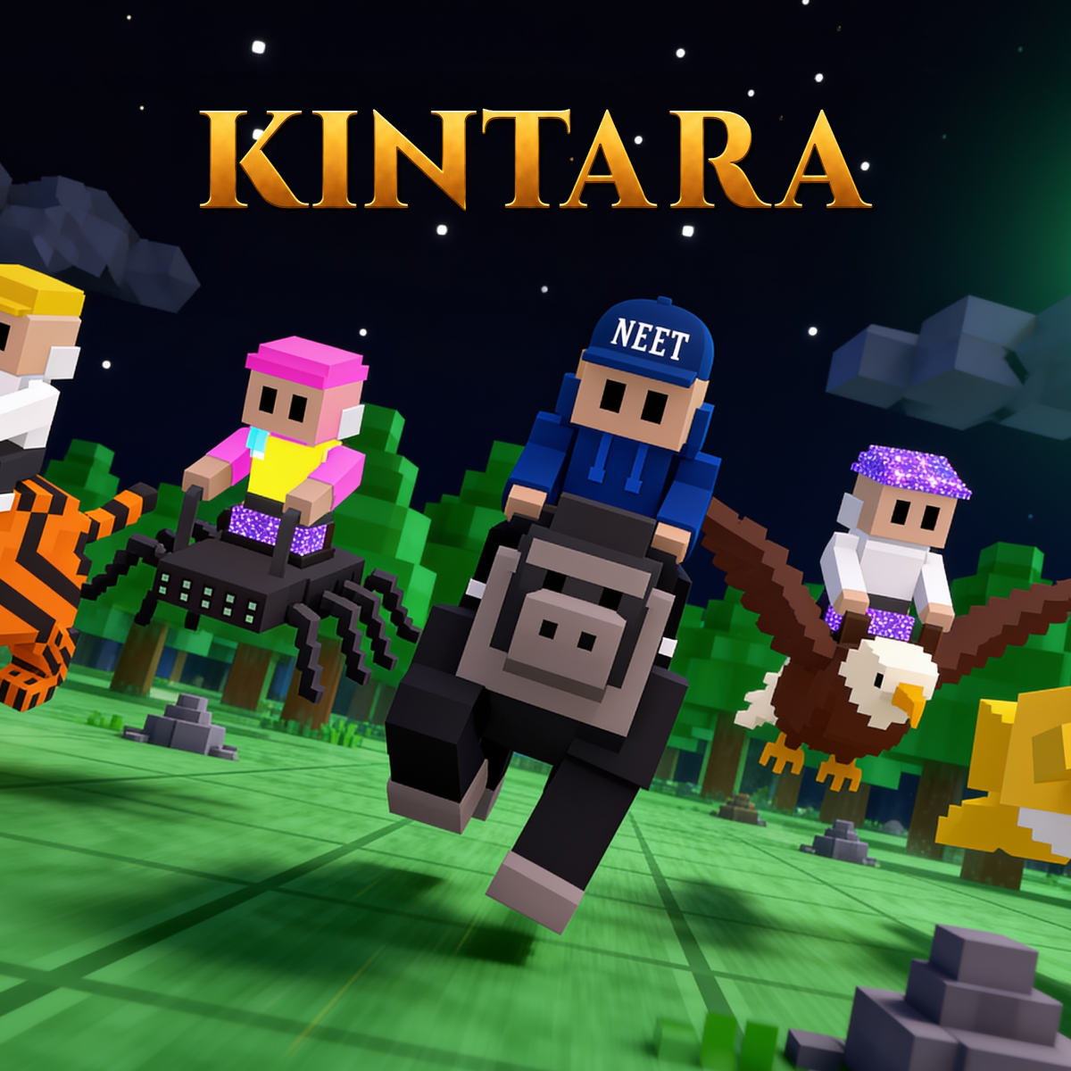 Kintara graphic