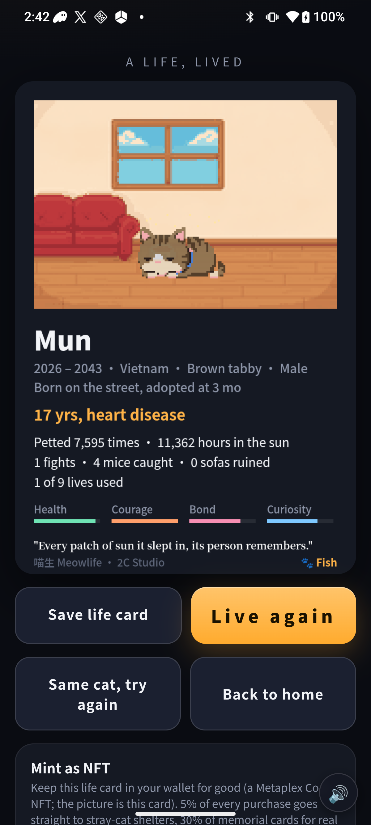 MeowLife screenshot 3