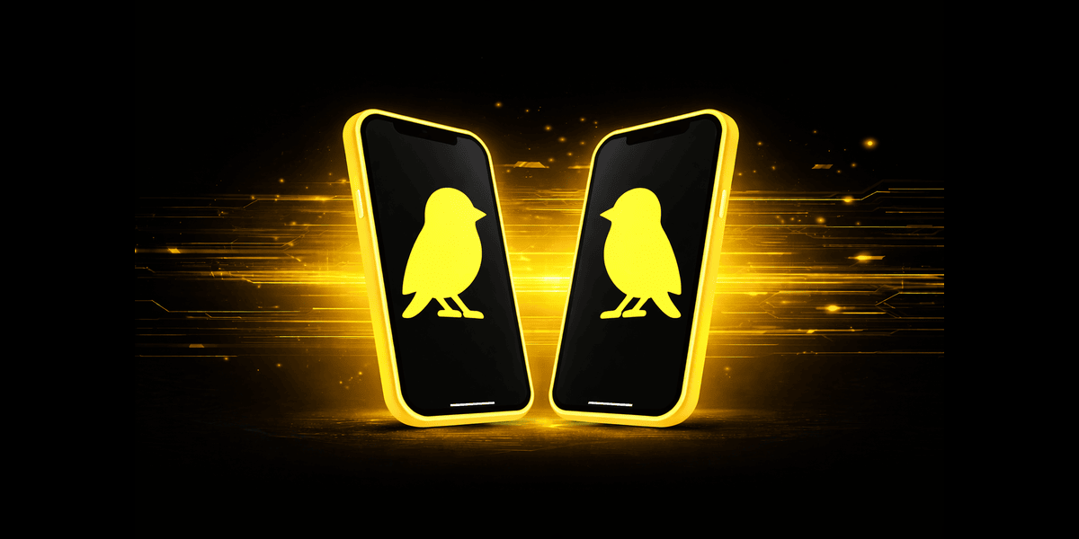 Canary graphic